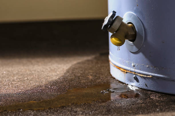 Best Flood damage cleanup  in Salem, WV