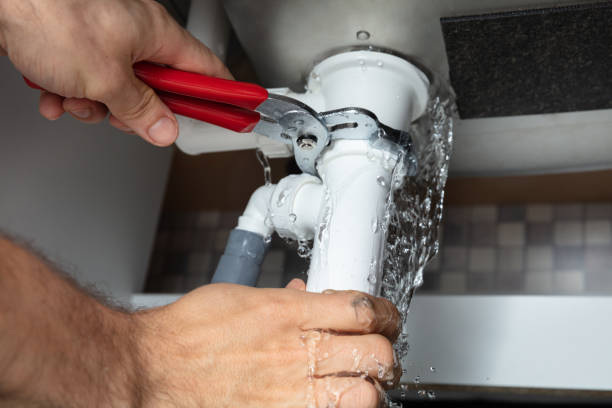 Best Professional water damage repair  in Salem, WV