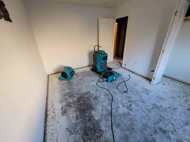 Best 24/7 water damage repair  in Salem, WV