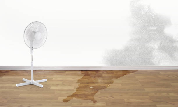 , WV Water damage restoration Company