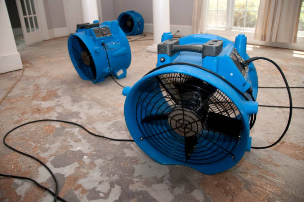 Best Water damage restoration insurance claims  in Salem, WV