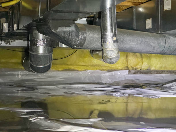 Best Basement water damage restoration  in Salem, WV