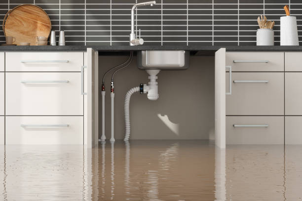 Best Fire Damage Restoration  in Salem, WV